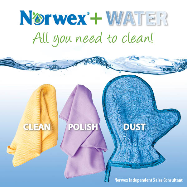 Norwex Products 